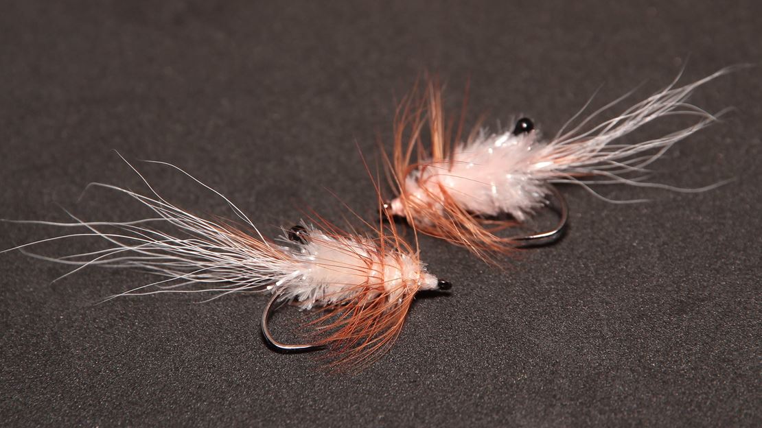 Final Shrimp