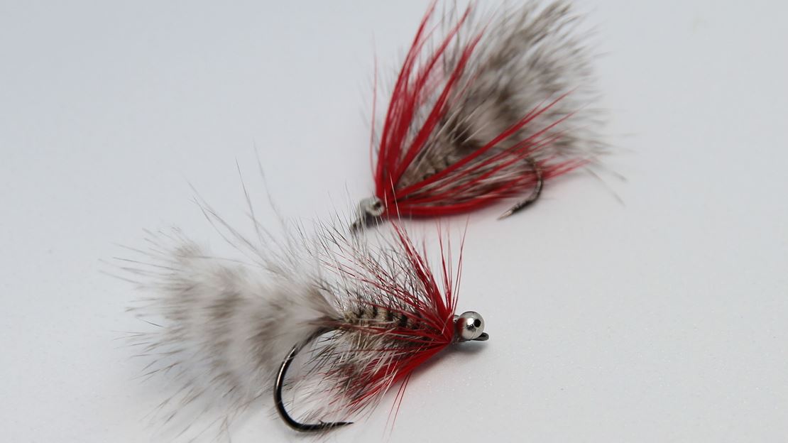 Grå Frede Med Blodtud