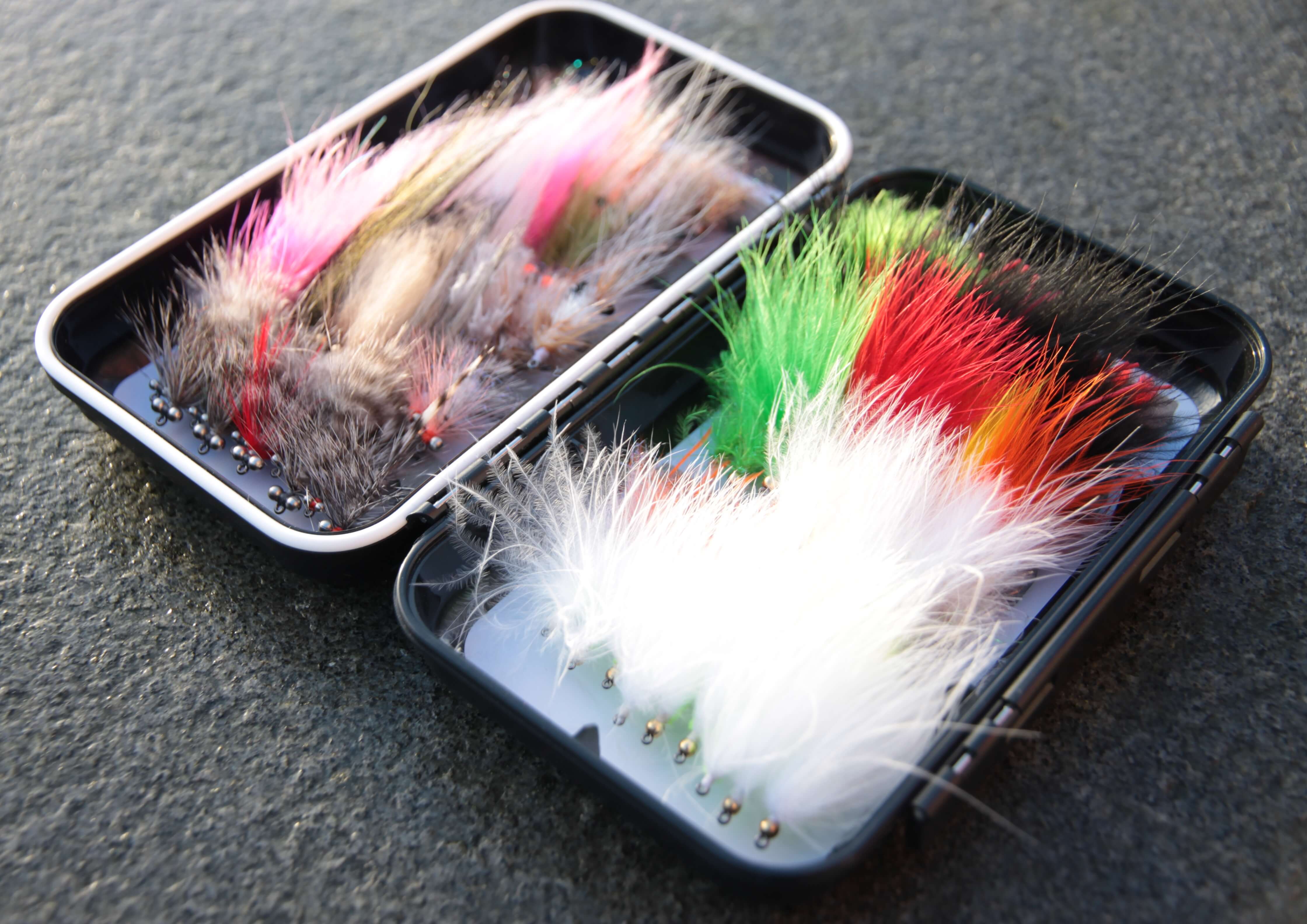 Overall flueboks.JPG