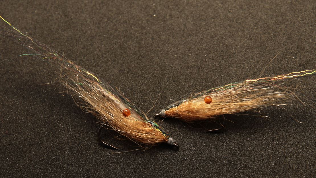 Shrimp Shrimp