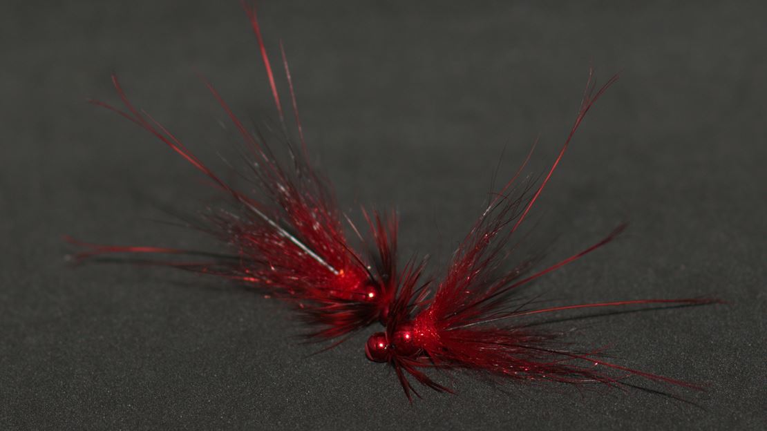 Plug Francis - Claret.jpg