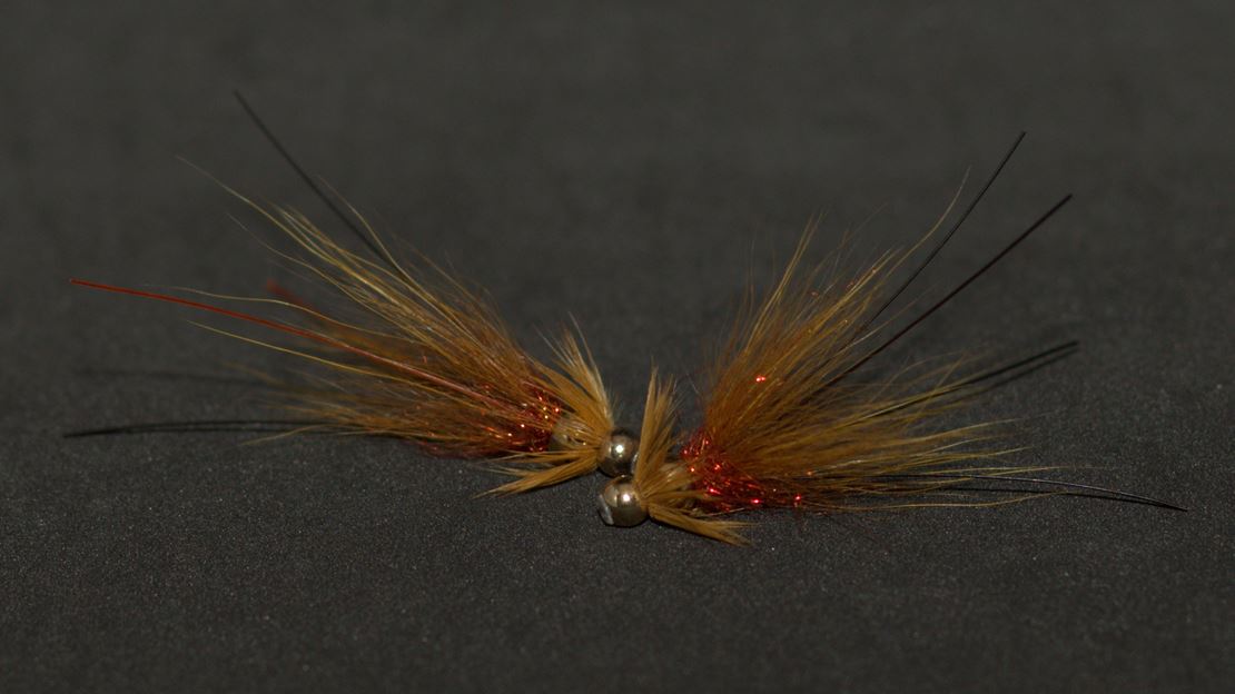 Plug Francis - Oliven.jpg