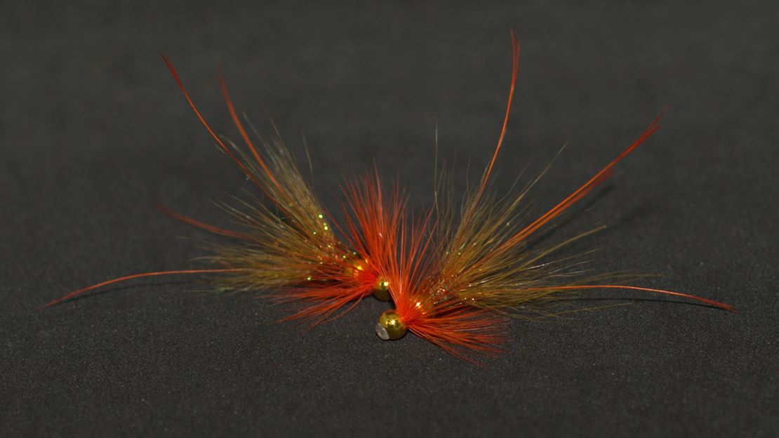 Plug Francis - Oliven-Orange.jpg