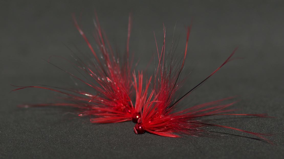 Plug Francis - Red.jpg